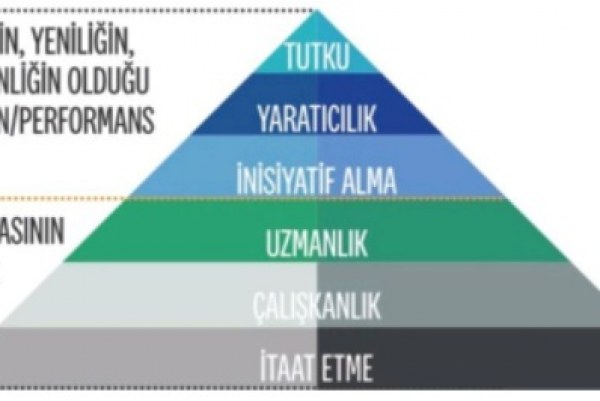 Konfor Alanı, Değişim ve Vizyon